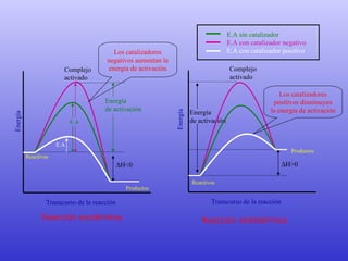 Energía  de activación Energía  Transcurso de la reacción Complejo activado Reactivos  H<0 Energía  de activación Transcurso de la reacción Complejo activado Reactivos  H>0 Energía Reacción exotérmica Reacción endotérmica Productos Productos E.A E.A Los catalizadores negativos aumentan la energía de activación Los catalizadores positivos disminuyen la energía de activación E.A sin catalizador E.A con catalizador negativo E.A con catalizador positivo 