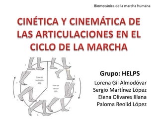 Biomecánica de la marcha humana




   Grupo: HELPS
Lorena Gil Almodóvar
Sergio Martínez López
  Elena Olivares Illana
 Paloma Reolid López
 