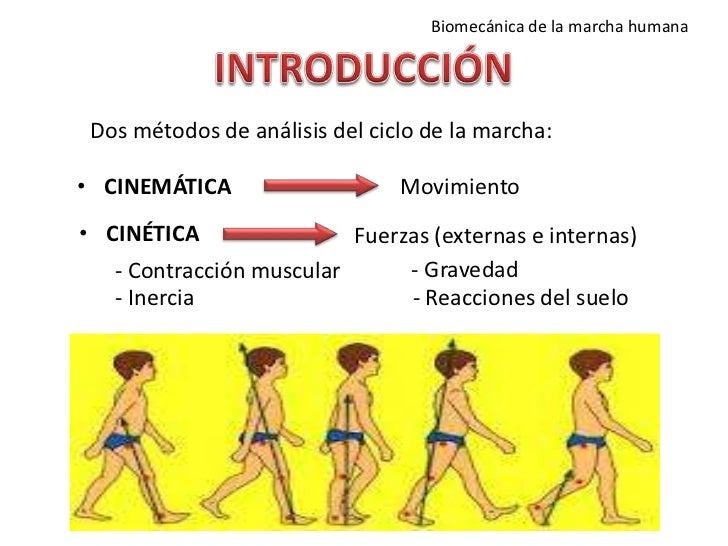 Biomecánica de la marcha humana