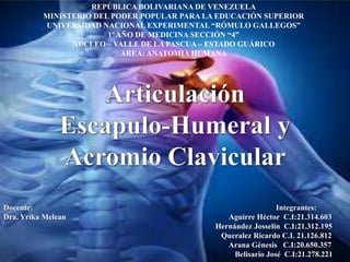 REPÚBLICA BOLIVARIANA DE VENEZUELA
          MINISTERIO DEL PODER POPULAR PARA LA EDUCACIÓN SUPERIOR
          UNIVERSIDAD NACIONAL EXPERIMENTAL “RÓMULO GALLEGOS”
                        1º AÑO DE MEDICINA SECCIÓN “4”
                NUCLEO – VALLE DE LA PASCUA – ESTADO GUÁRICO
                            AREA: ANATOMIA HUMANA




Docente:                                                        Integrantes:
Dra. Yrika Melean                                Aguirre Héctor C.I:21.314.603
                                              Hernández Josselin C.I:21.312.195
                                               Queralez Ricardo C.I. 21.126.812
                                                 Arana Génesis C.I:20.650.357
                                                   Belisario José C.I:21.278.221
 