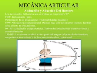 Abducción y Aducción Del Hombro
Los movimientos del húmero solo se produce en los primeros 90º.
0-60º: deslizamiento (giro).
Participación de las articulaciones (responsabilidades máximas):
0-90º: Articulación escapulohumeral. Después hace sólo movimientos internos. También
actúa el resto de articulaciones.
90-150º: Articulación escapulotorácica. También las articulaciones esternoclavicular y
acromioclavicular.
150-180º: La columna vertebral actúa a partir del bloqueo del plano de deslizamiento
escapulotorácico mediante la inclinación toracolumbrar contralateral.
 