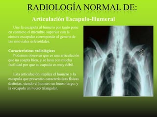 Articulación Escapulo-Humeral
    Une la escapula al humero por tanto pone
en contacto el miembro superior con la
cintura escapular corresponde al género de
las sinoviales esferoidales.

Características radiológicas
   Podemos observar que es una articulación
que no coapta bien, y se luxa con mucha
facilidad por que su capsula es muy débil.

    Esta articulación implica el humero y la
escapula que presentan características físicas
distintas, siendo el humero un hueso largo, y
la escapula un hueso triangular.
 