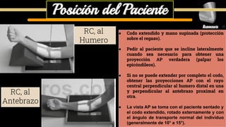 Cintura Escapular Radiología Documento PDF | PDF