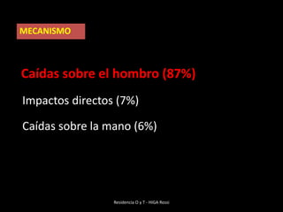Soporte óseo