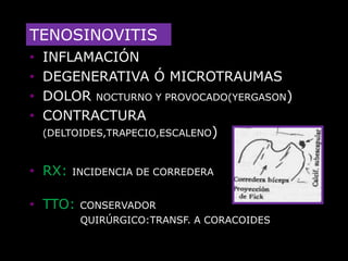 Cintura escápulohumeral