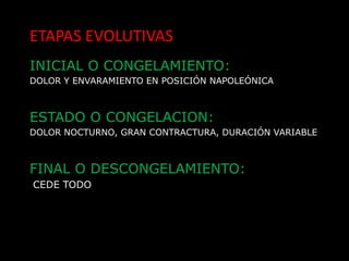 Cintura escápulohumeral