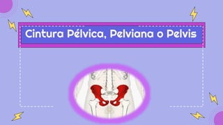 Cintura Pélvica, Pelviana o Pelvis
 