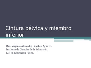 Cintura pélvica y miembro
inferior
Dra. Virginia Alejandra Sánchez Aguirre.
Instituto de Ciencias de la Educación.
Lic. en Educación Física.
 