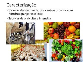 Caracterização:
• Visam o abastecimento dos centros urbanos com
hortifrutigranjeiros e leite;
• Técnicas de agricultura intensiva;
 