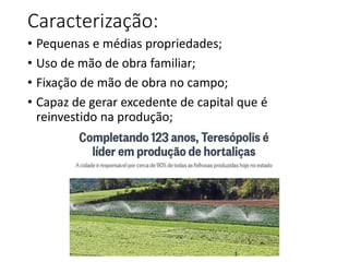 Caracterização:
• Pequenas e médias propriedades;
• Uso de mão de obra familiar;
• Fixação de mão de obra no campo;
• Capaz de gerar excedente de capital que é
reinvestido na produção;
 