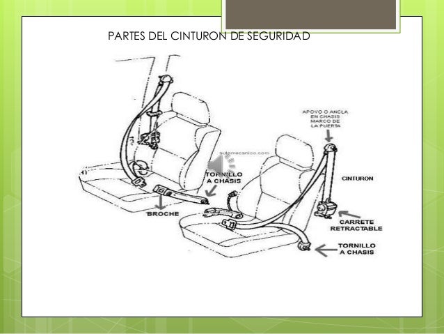 Cinturon seguridad felipe quintero