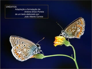 CRÉDITOS: Adaptação e formatação de: António Elísio Portela de um texto elaborado por: João Alberto Correia 