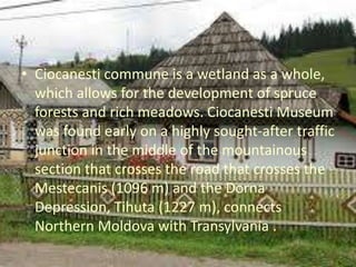 • Ciocanesti commune is a wetland as a whole,
which allows for the development of spruce
forests and rich meadows. Ciocanesti Museum
was found early on a highly sought-after traffic
junction in the middle of the mountainous
section that crosses the road that crosses the
Mestecanis (1096 m) and the Dorna
Depression, Tihuta (1227 m), connects
Northern Moldova with Transylvania .
 