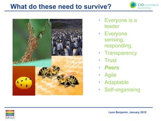 What do these need to survive? Everyone is a leader Everyone sensing, responding,  Transparency Trust Peers Agile Adaptable Self-organising 
