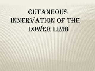 CUTANEOUS
INNERVATION OF THE
     LOWER LIMB
 
