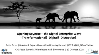 Opening Keynote – the Digital Enterprise Wave
Transformational? Digital? Disruptive?
CIO Focus Summit| Whittlebury Hall, Silverstone | 17 October 2018
David Terrar | Director & Deputy Chair – Cloud Industry Forum | @DT & @UK_CIF on Twitter
 