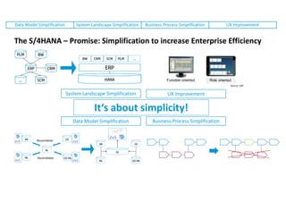 S 4 HANA 4 CEOs and CFOs | PDF