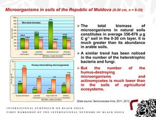 Status of “Black soils” in the Republic of Moldova - Ciolacu Tatiana | PDF