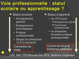 Voie professionnelle : statut
scolaire ou apprentissage ?
       Statut scolaire              Statut d’apprenti
        • Enseignement                 • au CFA cours
          général                            Enseignement général
        • Enseignement                       Technologie
          technologique                       professionnelle

        • Pratique                     • en entreprise
          professionnelle                formation pratique
                                         professionnelle
        • Stages en entreprises
          16 à 22 semaines
        Convention de                 Contrat de travail &
        stage                         Entreprise employeur

   CAP, BAC PRO/Brevets Pro, BTS, diplômes d’ingénieur
 