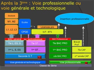 Après la 3ème : Voie professionnelle ou
voie générale et technologique
   Doctorat
                                                            Insertion professionnelle
   M1, M2          Ecoles
                   Ecoles

   L1, L2,                             Licences pro
  L1, L2, L3
     L3,           CPGE                 IUT - BTS


   BAC général       ou technologique               BAC Professionnel
                                                                         Brevet
   Tle L, ES, S             Tle ST…                 Tle BAC PRO
                                                     Tle BAC PRO           BP
                                                                          Prof.

   1ère L, S, ES            1ère ST…                11èreBAC PRO
                                                     ère
                                                          BAC PRO           Tle CAP
                                                                            Tle CAP

               Seconde G T                           2de BAC PRO          1ère année CAP

     Voie générale et technologique                         Voie professionnelle
                                  Classe de 3ème
 