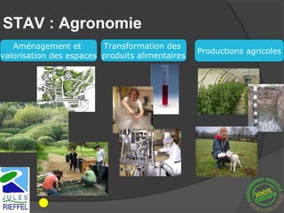 STAV : Agronomie
   Aménagement et        Transformation des
                                                 Productions agricoles
valorisation des espaces produits alimentaires
 