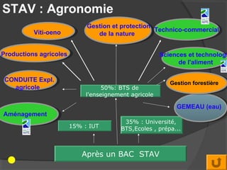 STAV : Agronomie
                             Gestion et protection
          Viti-oeno                                Technico-commercial
                                de la nature


Productions agricoles                                  Sciences et technologi
                                                             de l'aliment

 CONDUITE Expl.
                                                          Gestion forestière
   agricole                        50%: BTS de
                             l'enseignement agricole

                                                            GEMEAU (eau)
Aménagement
                                         35% : Université,
                        15% : IUT       BTS,Ecoles , prépa...



                           Après un BAC STAV
 