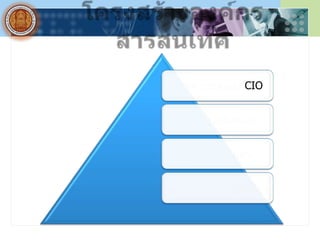 CIO
 