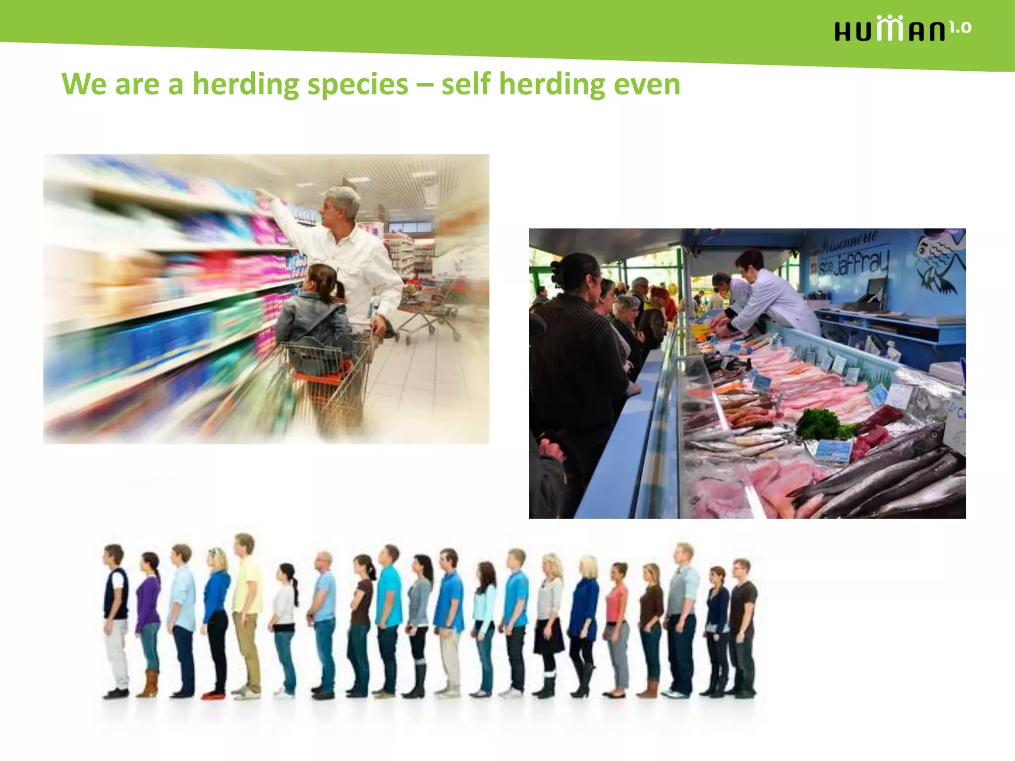 We are a herding species – self herding even