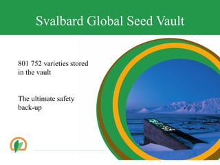 Conserving crop diversity forever