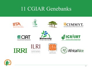 Conserving crop diversity forever