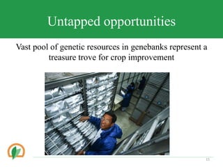 Conserving crop diversity forever