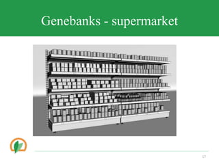 Conserving crop diversity forever