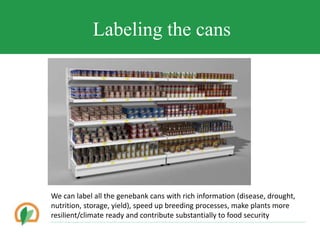 Conserving crop diversity forever