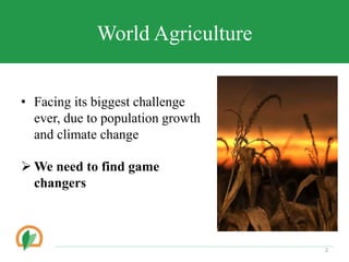 Conserving crop diversity forever