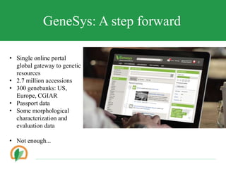 Conserving crop diversity forever