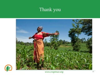 Conserving crop diversity forever