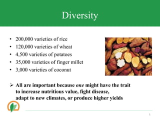 Conserving crop diversity forever