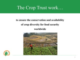 Conserving crop diversity forever