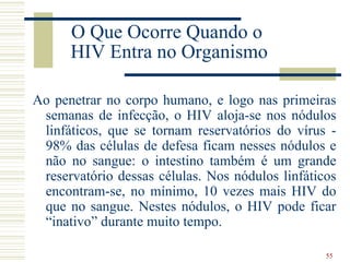 O Que Ocorre Quando o
      HIV Entra no Organismo

Ao penetrar no corpo humano, e logo nas primeiras
 semanas de infecção, o HIV aloja-se nos nódulos
 linfáticos, que se tornam reservatórios do vírus -
 98% das células de defesa ficam nesses nódulos e
 não no sangue: o intestino também é um grande
 reservatório dessas células. Nos nódulos linfáticos
 encontram-se, no mínimo, 10 vezes mais HIV do
 que no sangue. Nestes nódulos, o HIV pode ficar
 “inativo” durante muito tempo.

                                                  55
 