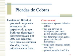 Picadas de Cobras

Existem no Brasil, 4       Como socorrer:
  grupos de serpentes      → mantenha a pessoa deitada e
  venenosas. As              calma;
  serpentes do grupo       → não use garrotes ou
                             torniquetes, pois estes
  Bothrops (jararacas)       podem causar gangrena;
  são responsáveis por     → não fazer incisões ou cortes,
  90% dos acidentes.         pois existe risco de
  Seus sinais e sintomas     hemorragia;
  são: dor, edema,         → limpe bem o local da picada
                             com água;
  eritema e calor local.
                           → procure assistência médica.
                                                         63
 