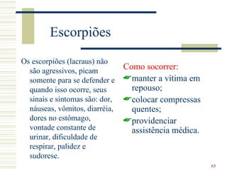 Escorpiões
Os escorpiões (lacraus) não
  são agressivos, picam         Como socorrer:
  somente para se defender e    manter a vítima em
  quando isso ocorre, seus        repouso;
  sinais e sintomas são: dor,   colocar compressas
  náuseas, vômitos, diarréia,     quentes;
  dores no estômago,            providenciar
  vontade constante de            assistência médica.
  urinar, dificuldade de
  respirar, palidez e
  sudorese.
                                                        65
 