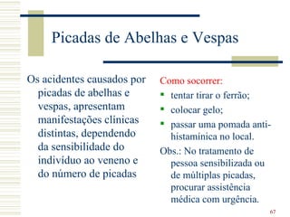 Picadas de Abelhas e Vespas

Os acidentes causados por   Como socorrer:
  picadas de abelhas e       tentar tirar o ferrão;
  vespas, apresentam         colocar gelo;
  manifestações clínicas     passar uma pomada anti-
  distintas, dependendo       histamínica no local.
  da sensibilidade do       Obs.: No tratamento de
  indivíduo ao veneno e       pessoa sensibilizada ou
  do número de picadas        de múltiplas picadas,
                              procurar assistência
                              médica com urgência.
                                                    67
 