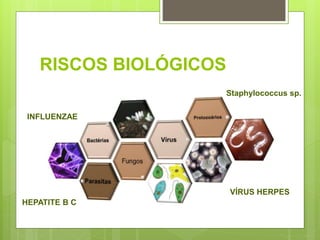 RISCOS BIOLÓGICOS
INFLUENZAE
Staphylococcus sp.
HEPATITE B C
VÍRUS HERPES
 