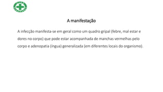 A manifestação
A infecção manifesta-se em geral como um quadro gripal (febre, mal estar e
dores no corpo) que pode estar acompanhada de manchas vermelhas pelo
corpo e adenopatia (íngua) generalizada (em diferentes locais do organismo).
 