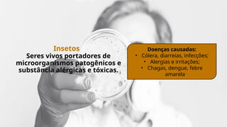 Insetos
Seres vivos portadores de
microorganismos patogênicos e
substância alérgicas e tóxicas.
Doenças causadas:
• Cólera, diarreias, infecções;
• Alergias e irritações;
• Chagas, dengue, febre
amarela
 