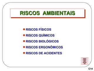RISCOS  AMBIENTAIS RISCOS FÍSICOS RISCOS QUÍMICOS RISCOS BIOLÓGICOS RISCOS ERGONÔMICOS RISCOS DE ACIDENTES C14 