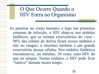 55
O Que Ocorre Quando o
HIV Entra no Organismo
Ao penetrar no corpo humano, e logo nas primeiras
semanas de infecção, o HIV aloja-se nos nódulos
linfáticos, que se tornam reservatórios do vírus -
98% das células de defesa ficam nesses nódulos e
não no sangue: o intestino também é um grande
reservatório dessas células. Nos nódulos linfáticos
encontram-se, no mínimo, 10 vezes mais HIV do
que no sangue. Nestes nódulos, o HIV pode ficar
“inativo” durante muito tempo.
 