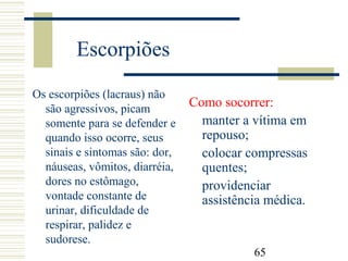65
Escorpiões
Os escorpiões (lacraus) não
são agressivos, picam
somente para se defender e
quando isso ocorre, seus
sinais e sintomas são: dor,
náuseas, vômitos, diarréia,
dores no estômago,
vontade constante de
urinar, dificuldade de
respirar, palidez e
sudorese.
Como socorrer:
manter a vítima em
repouso;
colocar compressas
quentes;
providenciar
assistência médica.
 