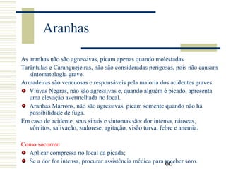 66
Aranhas
As aranhas não são agressivas, picam apenas quando molestadas.
Tarântulas e Caranguejeiras, não são consideradas perigosas, pois não causam
sintomatologia grave.
Armadeiras são venenosas e responsáveis pela maioria dos acidentes graves.
Viúvas Negras, não são agressivas e, quando alguém é picado, apresenta
uma elevação avermelhada no local.
Aranhas Marrons, não são agressivas, picam somente quando não há
possibilidade de fuga.
Em caso de acidente, seus sinais e sintomas são: dor intensa, náuseas,
vômitos, salivação, sudorese, agitação, visão turva, febre e anemia.
Como socorrer:
Aplicar compressa no local da picada;
Se a dor for intensa, procurar assistência médica para receber soro.
 