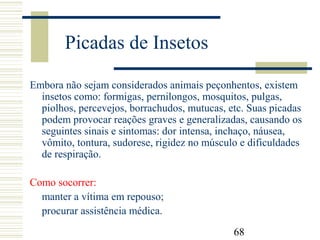 68
Picadas de Insetos
Embora não sejam considerados animais peçonhentos, existem
insetos como: formigas, pernilongos, mosquitos, pulgas,
piolhos, percevejos, borrachudos, mutucas, etc. Suas picadas
podem provocar reações graves e generalizadas, causando os
seguintes sinais e sintomas: dor intensa, inchaço, náusea,
vômito, tontura, sudorese, rigidez no músculo e dificuldades
de respiração.
Como socorrer:
manter a vítima em repouso;
procurar assistência médica.
 
